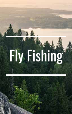 Perhokalastus Fly fishing